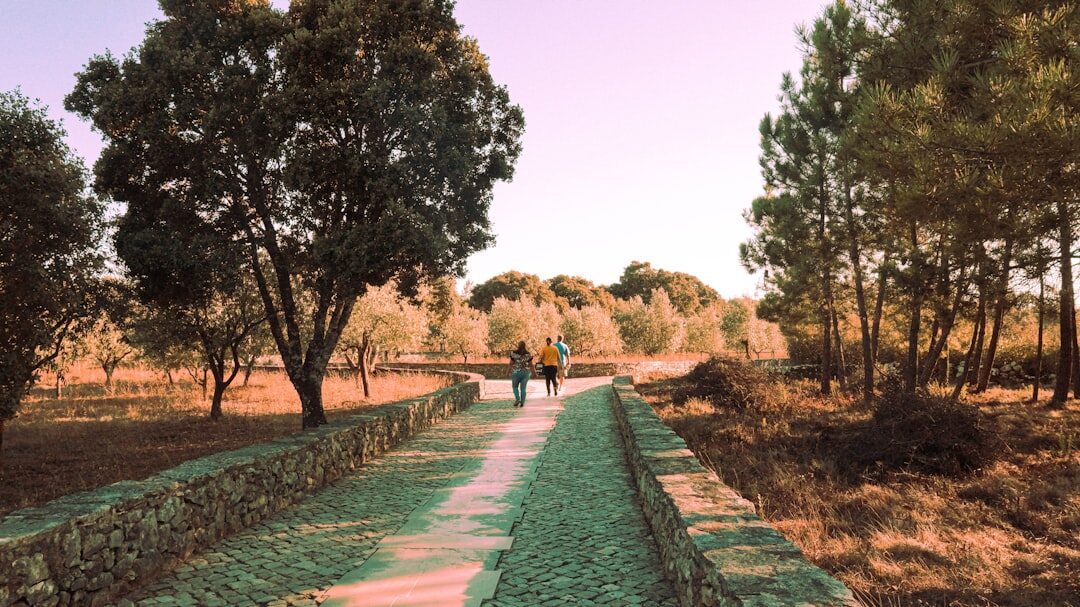 person walking in nature